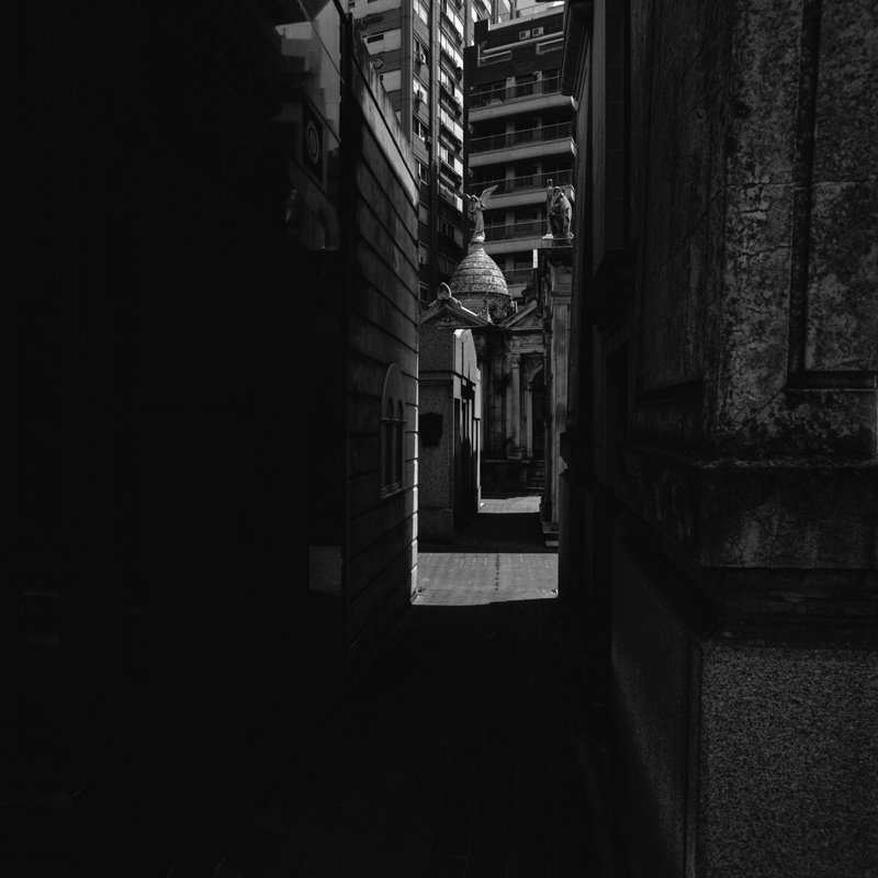 CCC200800606W019012_IMACON10DIVIDED_CLEAN_LR