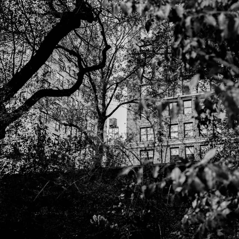 CCC201200606W033024_IMACON8DIVIDED_CLEAN_LR