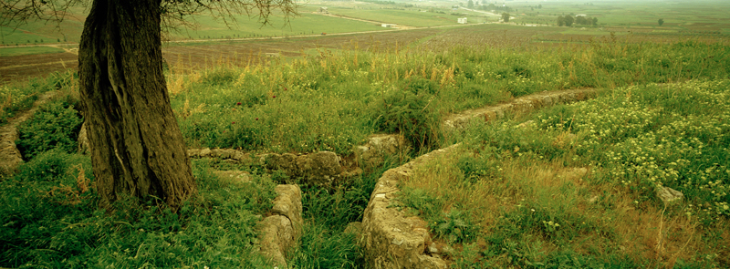 CCC200400235C276002_IMACON4STDIVIDED_CLEAN_LR