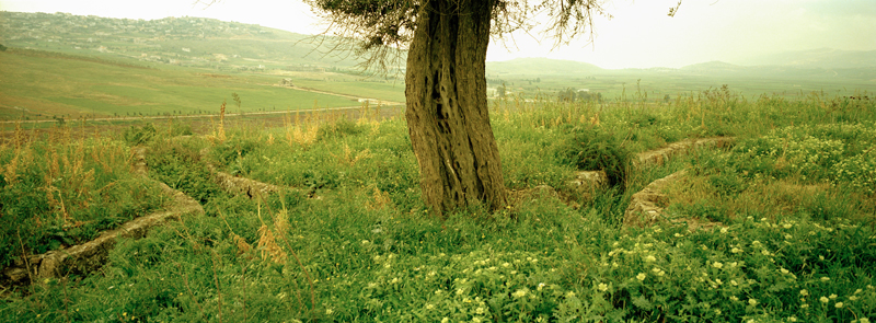 CCC200400235C276002_IMACON5STDIVIDED_CLEAN_LR