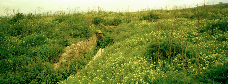 CCC200400235C276005_IMACON4STDIVIDED-3_CLEAN_LR