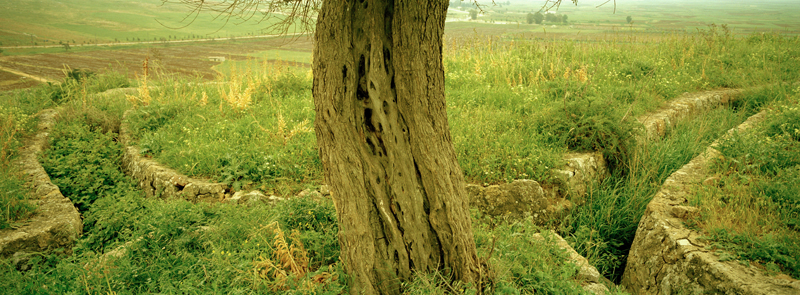 CCC200400235C276005_IMACON5STDIVIDED-2_CLEAN_LR