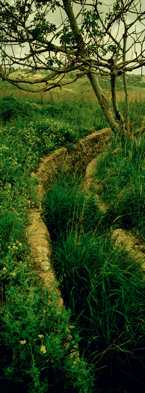 CCC200400235C276007_IMACON5STDIVIDED-3_CLEAN_LR