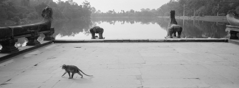 CCC200700235W336026_IMACON4EXTDIVIDED-2_CLEAN_LR