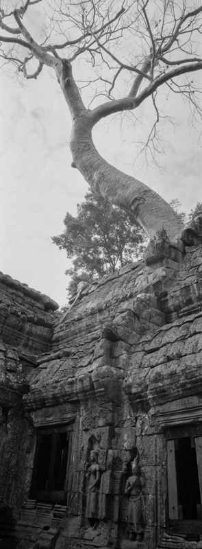 CCC200700235W336001_IMACON7EXTDIVIDED-2_CLEAN_LR