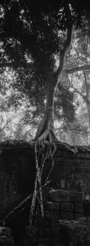 CCC200700235W336036_IMACON7EXTDIVIDED-3_CLEAN_LR