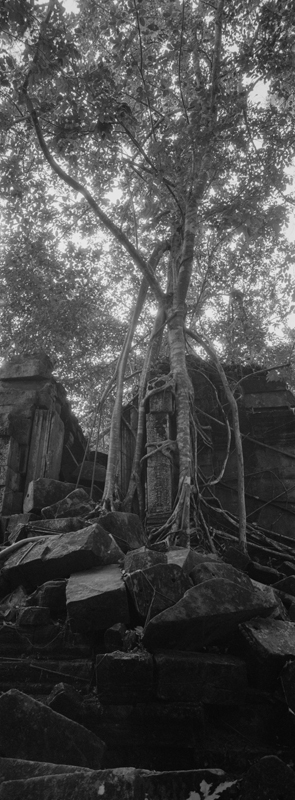 CCC200700235W336037_IMACON3EXTDIVIDED-2_CLEAN_LR