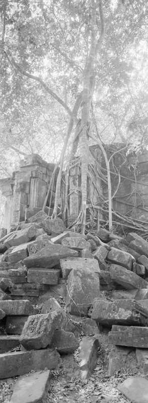 CCC201000255W345005_IMACON4EXTDIVIDED-2_CLEAN_LR