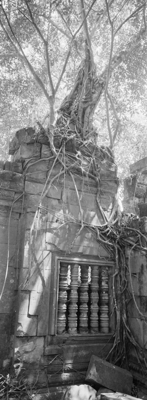 CCC201000255W345011_IMACON3EXTDIVIDED-2_CLEAN_LR