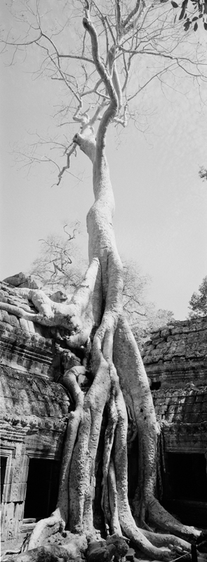 CCC201000255W345024_IMACON4EXTDIVIDED-2_CLEAN_LR