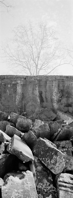 CCC201000255W345025_IMACON1EXTDIVIDED-2_CLEAN_LR