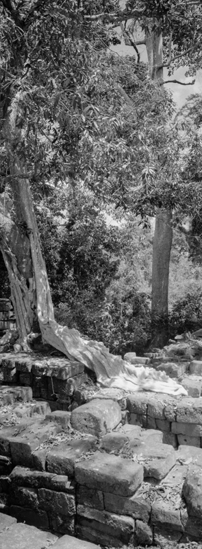 CCC201000255W343003_IMACON6EXTDIVIDED_CLEAN_LR