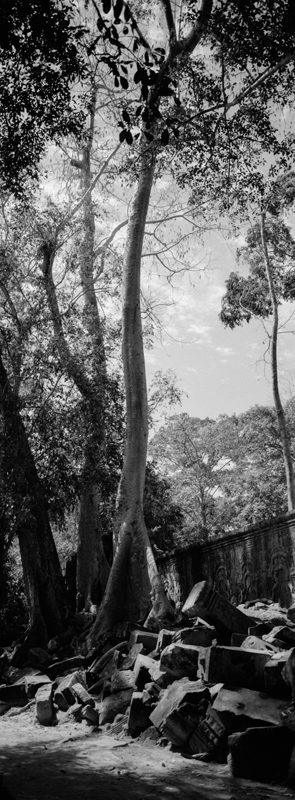 CCC201000255W343010_IMACON2EXTDIVIDED-2_CLEAN_LR