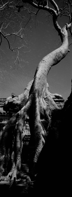 CCC201000255W343012_IMACON1EXTDIVIDED-2_CLEAN_LR