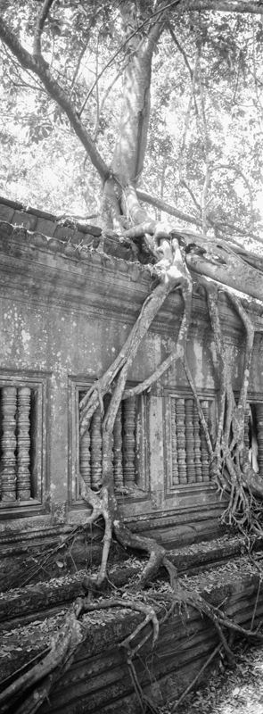 CCC201000255W343017_IMACON5EXTDIVIDED_CLEAN_LR