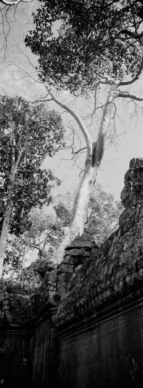 CCC201000255W343020_IMACON1EXTDIVIDED-2_CLEAN_LR