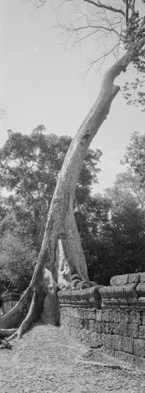 CCC201000255W343021_IMACON2EXTDIVIDED-3_CLEAN_LR