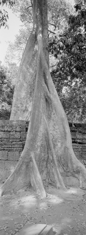 CCC201000255W343021_IMACON7EXTDIVIDED-2_CLEAN_LR