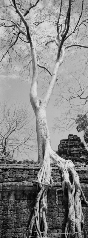 CCC201000255W343025_IMACON1EXTDIVIDED-2_CLEAN_LR