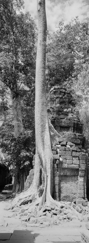 CCC201000255W343025_IMACON4EXTDIVIDED-2_CLEAN_LR