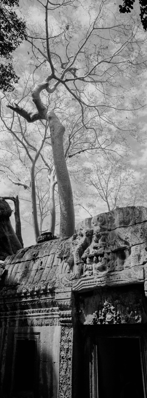 CCC201000255W343030_IMACON1EXTDIVIDED-2_CLEAN_LR