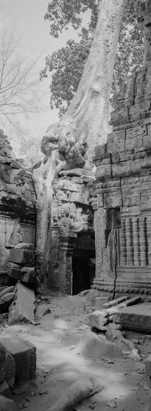 CCC201000255W343030_IMACON7EXTDIVIDED-2_CLEAN_LR