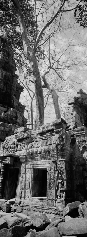 CCC201000255W343033_IMACON4EXTDIVIDED-2_CLEAN_LR