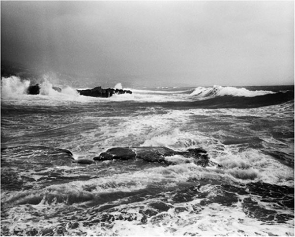 Blowing in the wind: Sea - 10