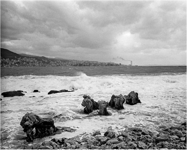 Blowing in the wind: Sea - 13