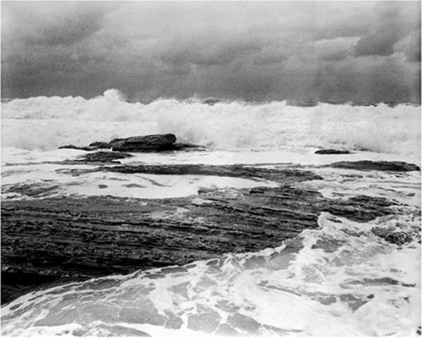 Blowing in the wind: Sea - 15