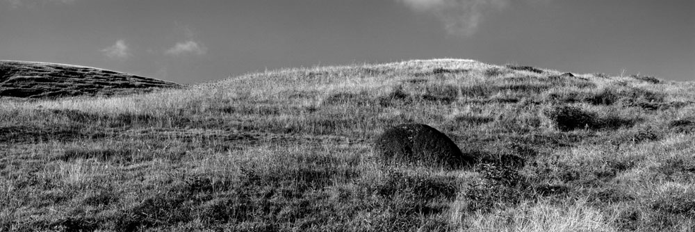 Easter Island 2007  4