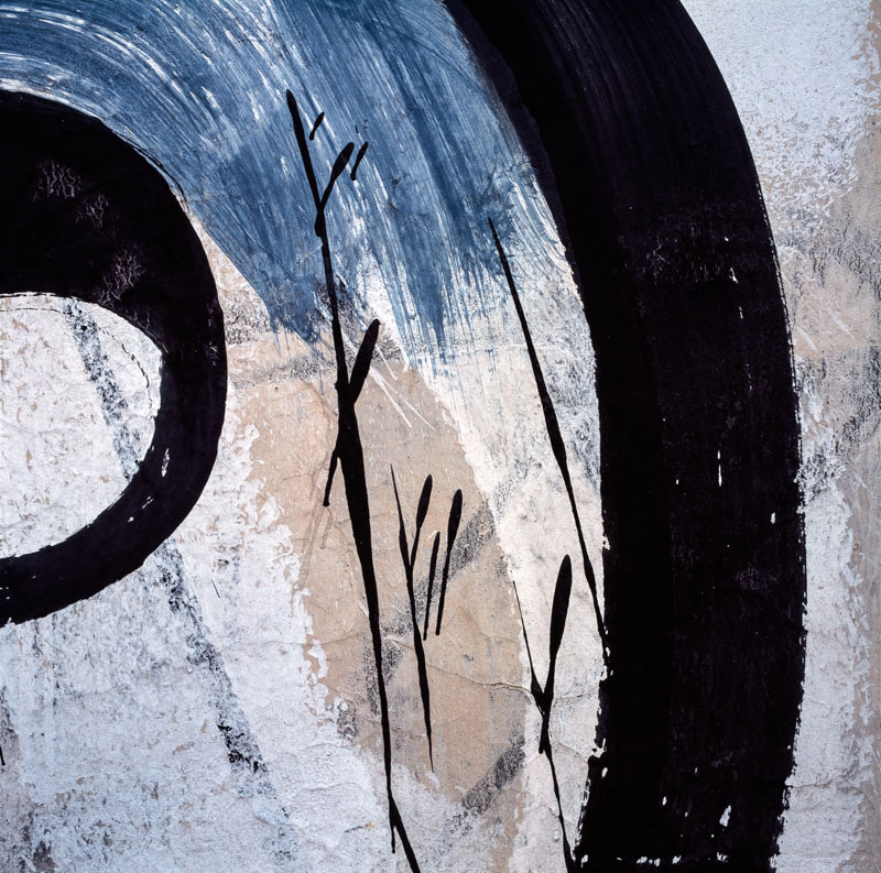 Buenos Aires walls 4