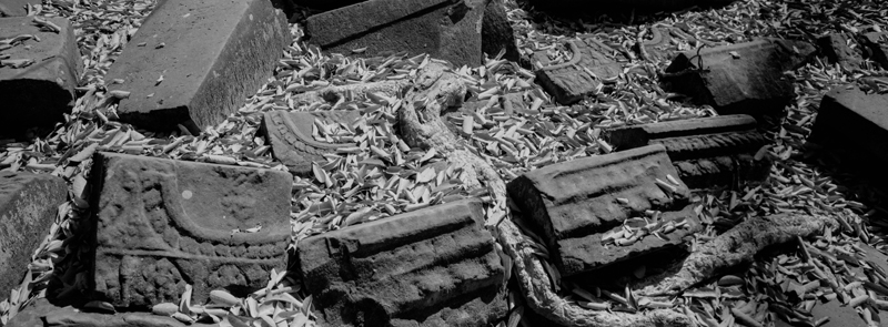 CCC201000255W343021_IMACON1EXTDIVIDED-2_CLEAN_LR