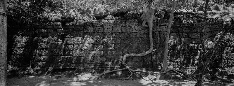 CCC201000255W343027_IMACON4EXTDIVIDED-2_CLEAN_LR