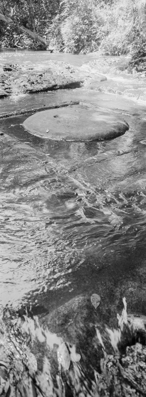 CCC201000255W345003_IMACON6EXTDIVIDED_CLEAN_LR