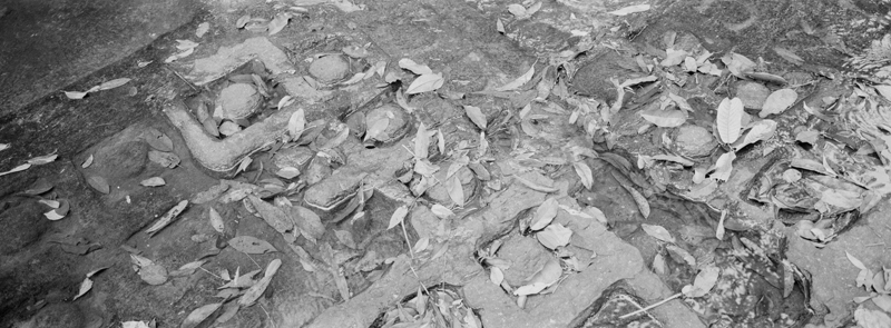 CCC201000255W345003_IMACON7EXTDIVIDED-2_CLEAN_LR