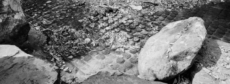 CCC201000255W345009_IMACON4EXTDIVIDED_CLEAN_LR