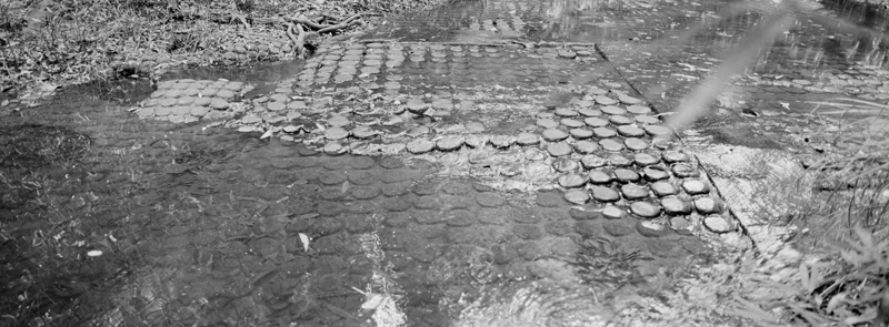 CCC201000255W345015_IMACON2EXTDIVIDED-3_CLEAN_LR