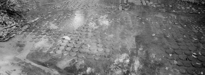 CCC201000255W345015_IMACON4EXTDIVIDED-2_CLEAN_LR