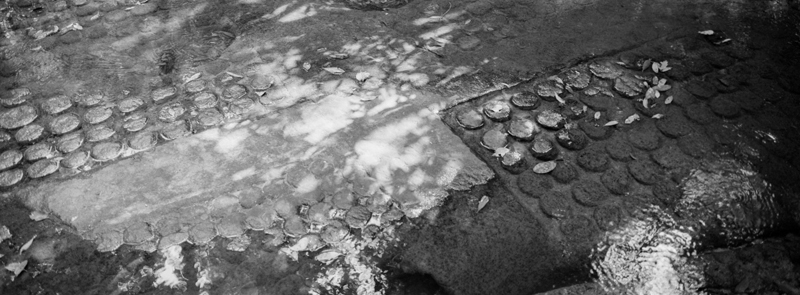 CCC201000255W345015_IMACON4EXTDIVIDED-3_CLEAN_LR