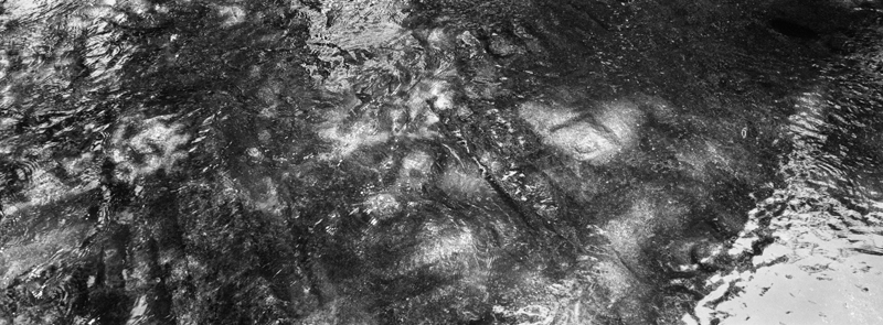 CCC201000255W345027_IMACON7EXTDIVIDED_CLEAN_LR