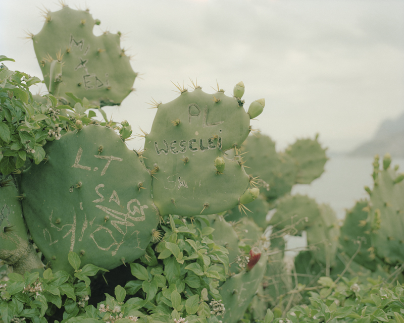 CCC201600607K225002_IMACON9DIVIDED