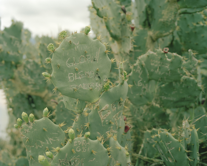 CCC201600607K225011_IMACON1DIVIDED