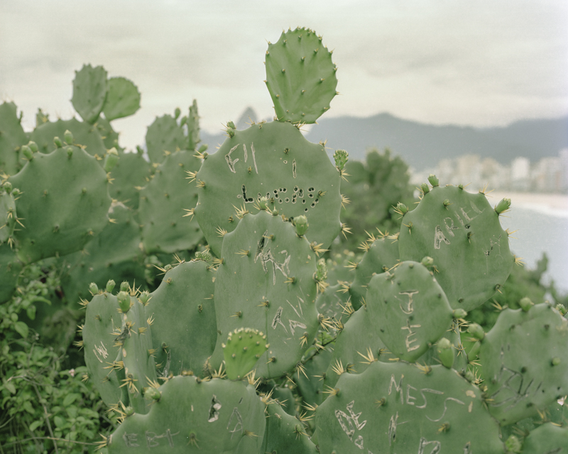 CCC201600607K225043_IMACON1DIVIDED