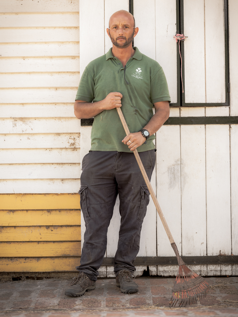 Labour Anonymous V: Arabians 2021 6