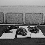 Moving History I: Evacuation 2006