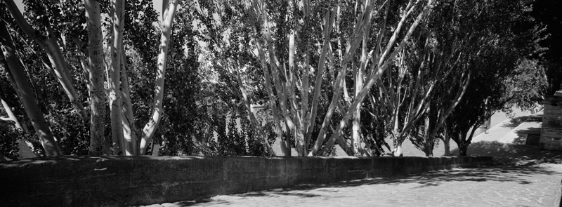 CCC202000265W358052_IMACON2EXTDIVIDED-3_CLEAN_LR