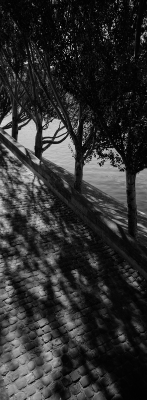 CCC202000265W358052_IMACON3EXTDIVIDED-3_CLEAN_LR